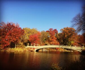 Central Park's Bow Bridge With Fall Foliage