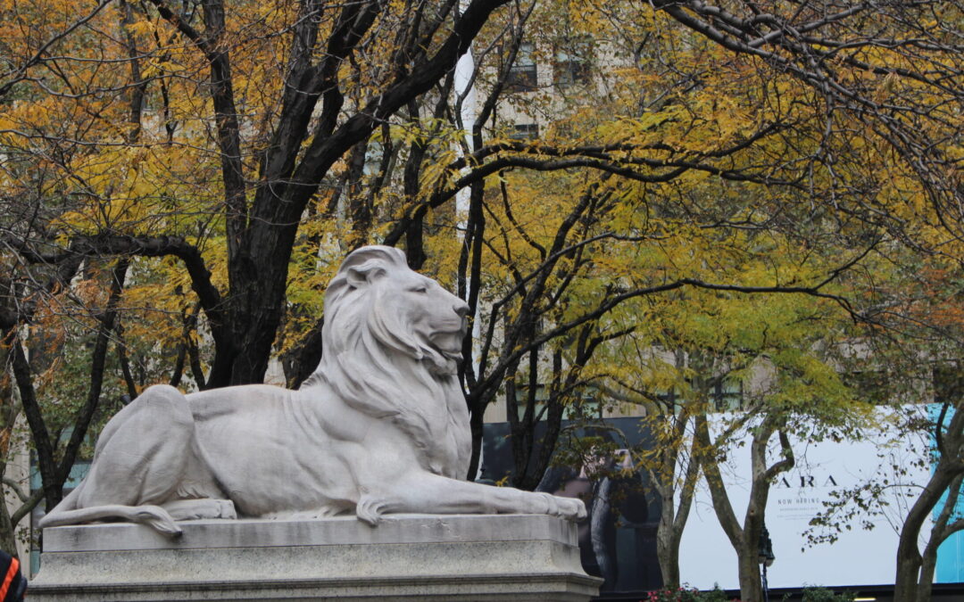 Things To Do In NYC In October & Weather